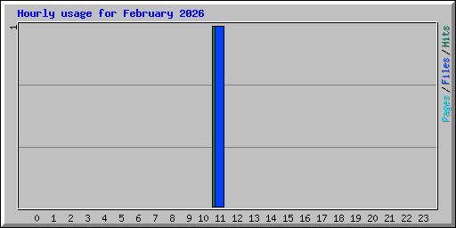Hourly usage for February 2026