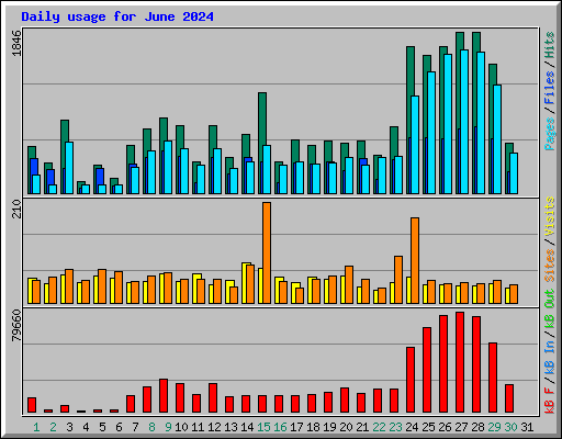 Daily usage for June 2024