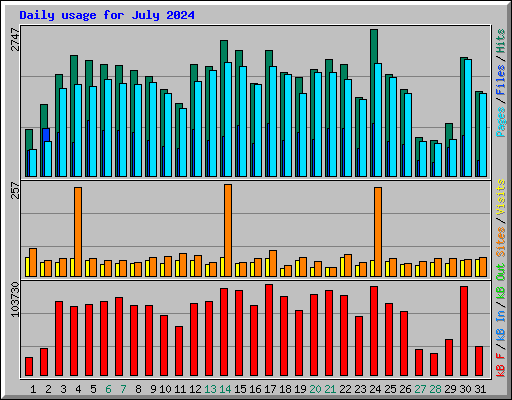 Daily usage for July 2024