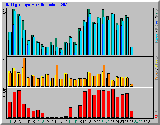 Daily usage for December 2024