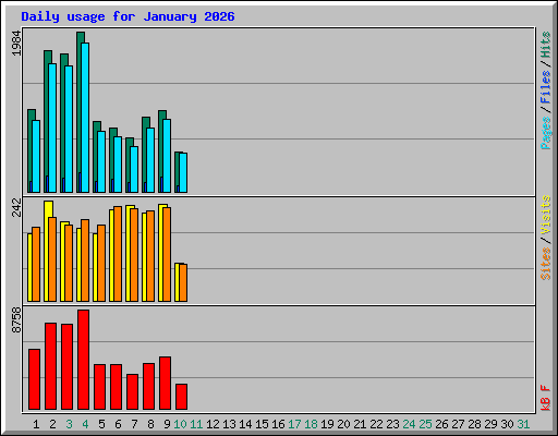 Daily usage for January 2026