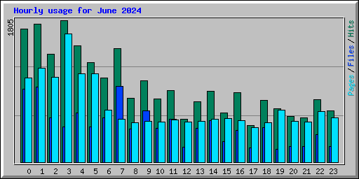 Hourly usage for June 2024