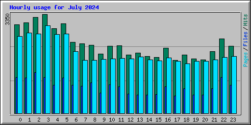 Hourly usage for July 2024