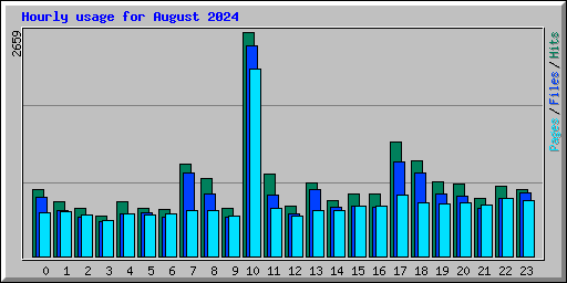 Hourly usage for August 2024