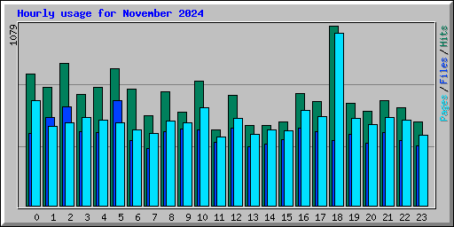 Hourly usage for November 2024