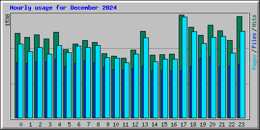 Hourly usage for December 2024