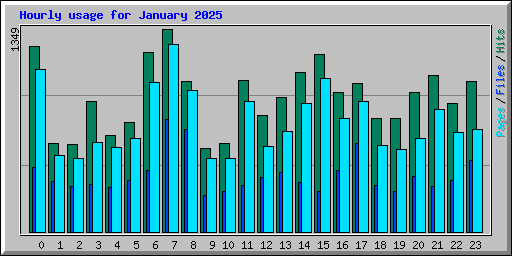 Hourly usage for January 2025