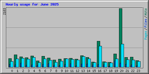 Hourly usage for June 2025