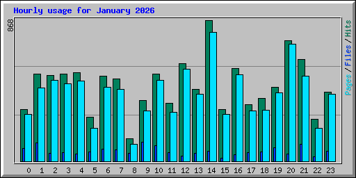 Hourly usage for January 2026