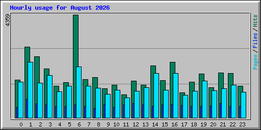 Hourly usage for August 2026
