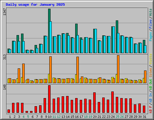 Daily usage for January 2025