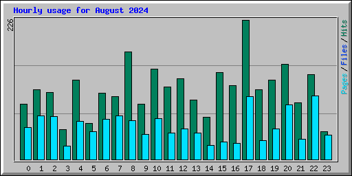 Hourly usage for August 2024