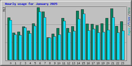 Hourly usage for January 2025