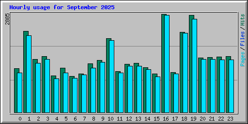 Hourly usage for September 2025