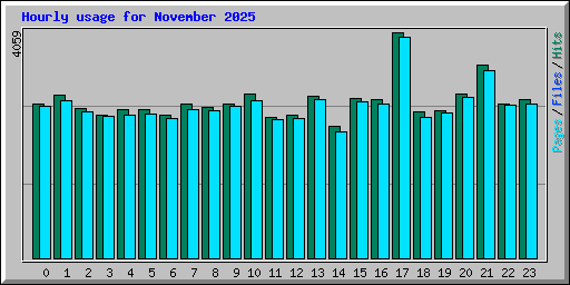 Hourly usage for November 2025