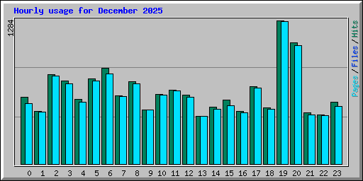 Hourly usage for December 2025