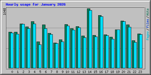 Hourly usage for January 2026